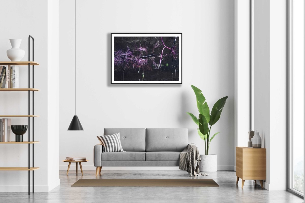 Framed underwater willow roots photo, pink reflection, white wall above sofa in modern living room.