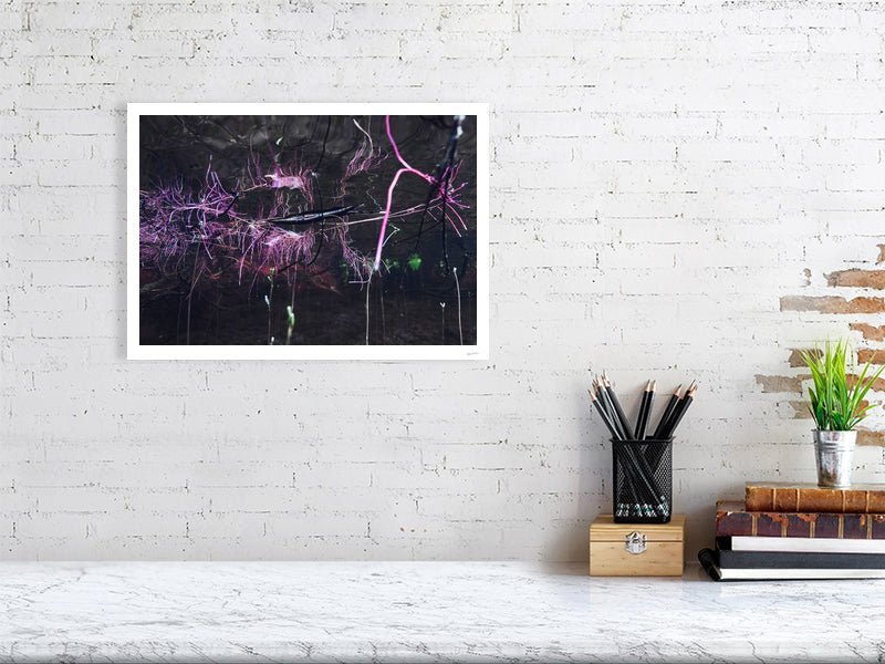 Underwater willow roots photo print, pink reflection, displayed on white wall in living room.