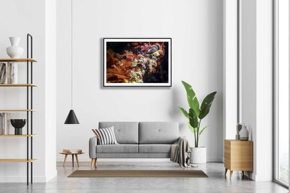 Framed close-up marine creatures photo, sea slugs, clams, red seaweed, white wall above sofa in modern living room.