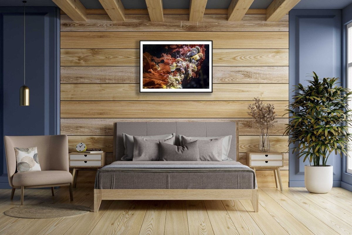 Framed close-up marine creatures photo, sea slugs, clams, red seaweed, wooden wall above bed in bedroom.