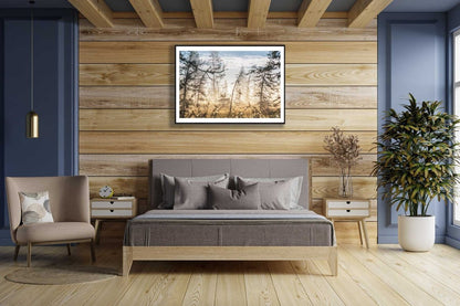Framed photo of marshy forest at sunrise, morning dew glistens on shrubs, wooden bedroom wall.