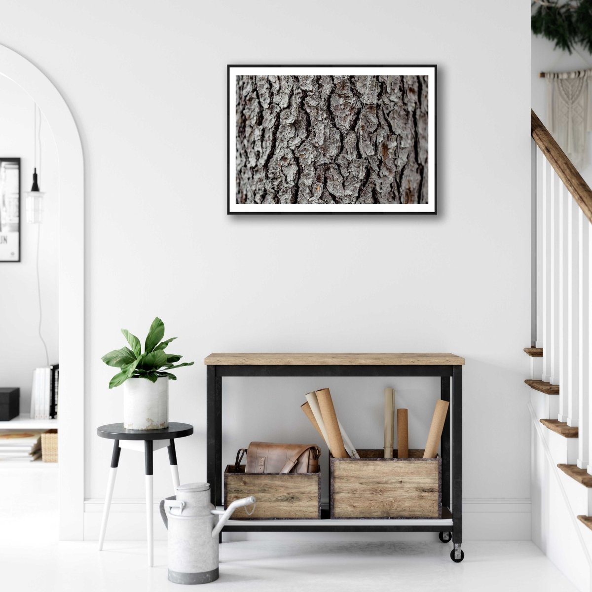 Framed photo of old spruce tree bark close-up, white living room wall.