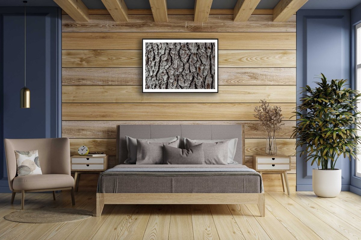 Framed photo of old spruce tree bark close-up, wooden bed room wall.