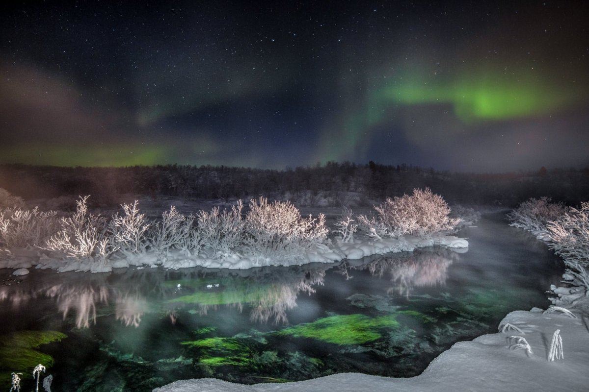 Arctic landscape with steaming river, Northern Lights, snowy trees, and stars, green vegetation beneath water.