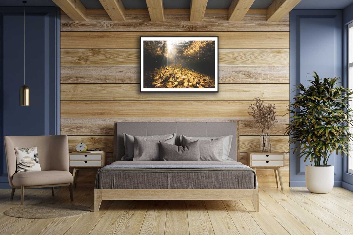 Framed underwater golden autumn leaves photo, sunlight, wooden wall above bed.