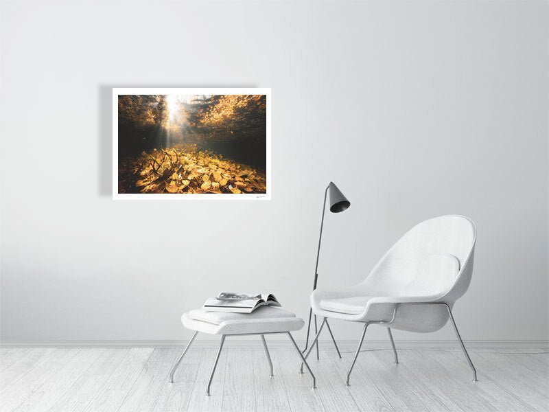 Underwater golden autumn leaves photo print, sunlight, white wall in living room.