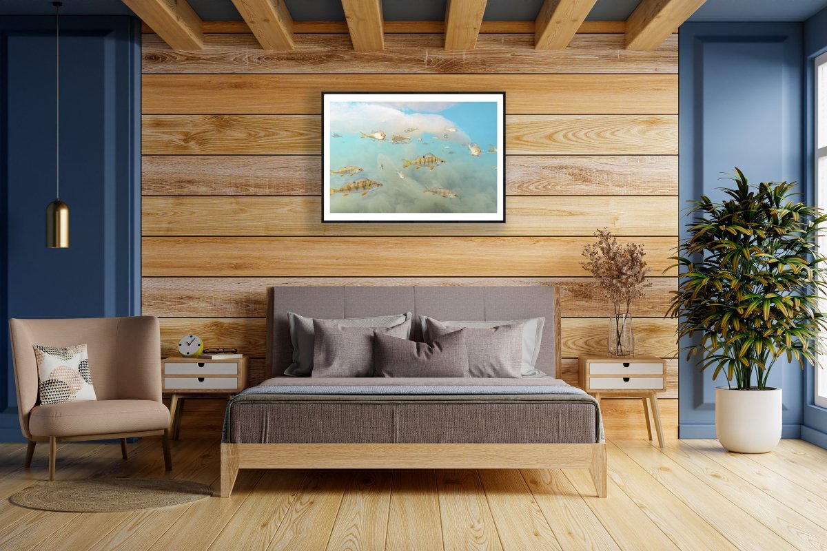Framed print of perch seemingly flying in algae-filled lake above a bed in a bedroom.