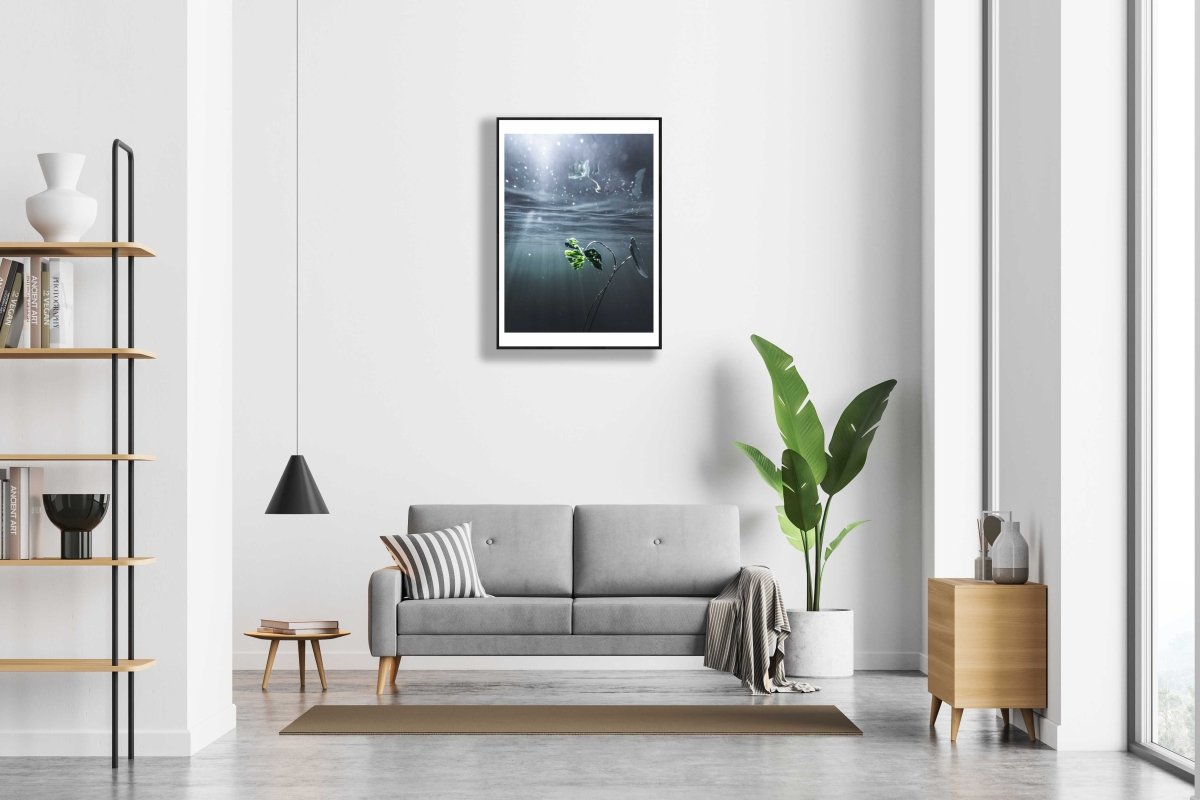 Framed photo of underwater water lily reflection with rays of light, white living room wall.