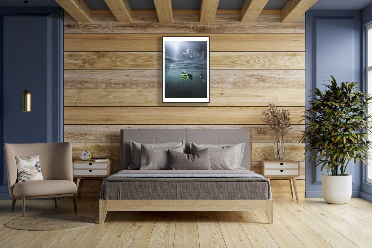 Framed photo of underwater water lily reflection with rays of light, wooden bedroom wall.