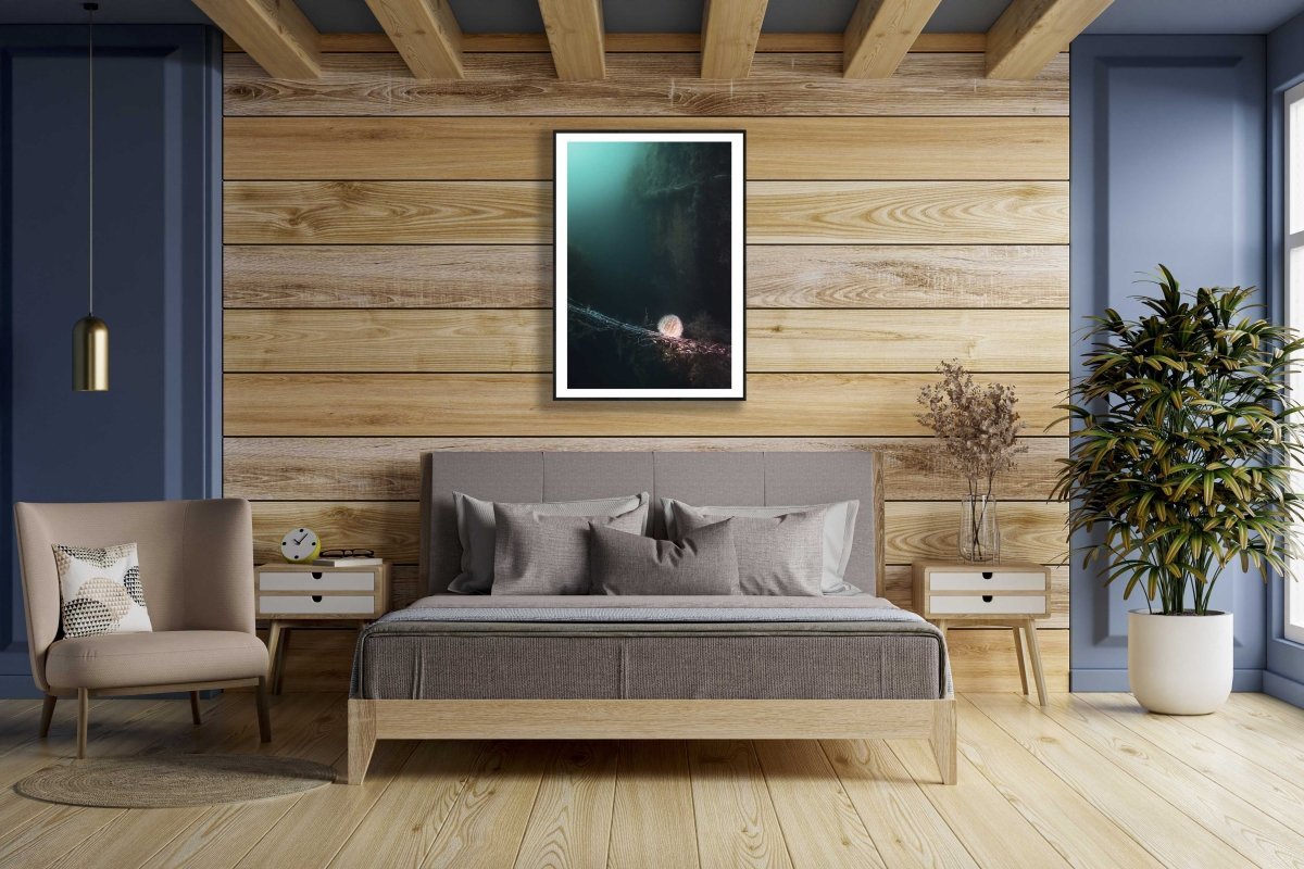 Framed sea urchin near wreck, eerie atmosphere, hangs on wooden wall above bed.