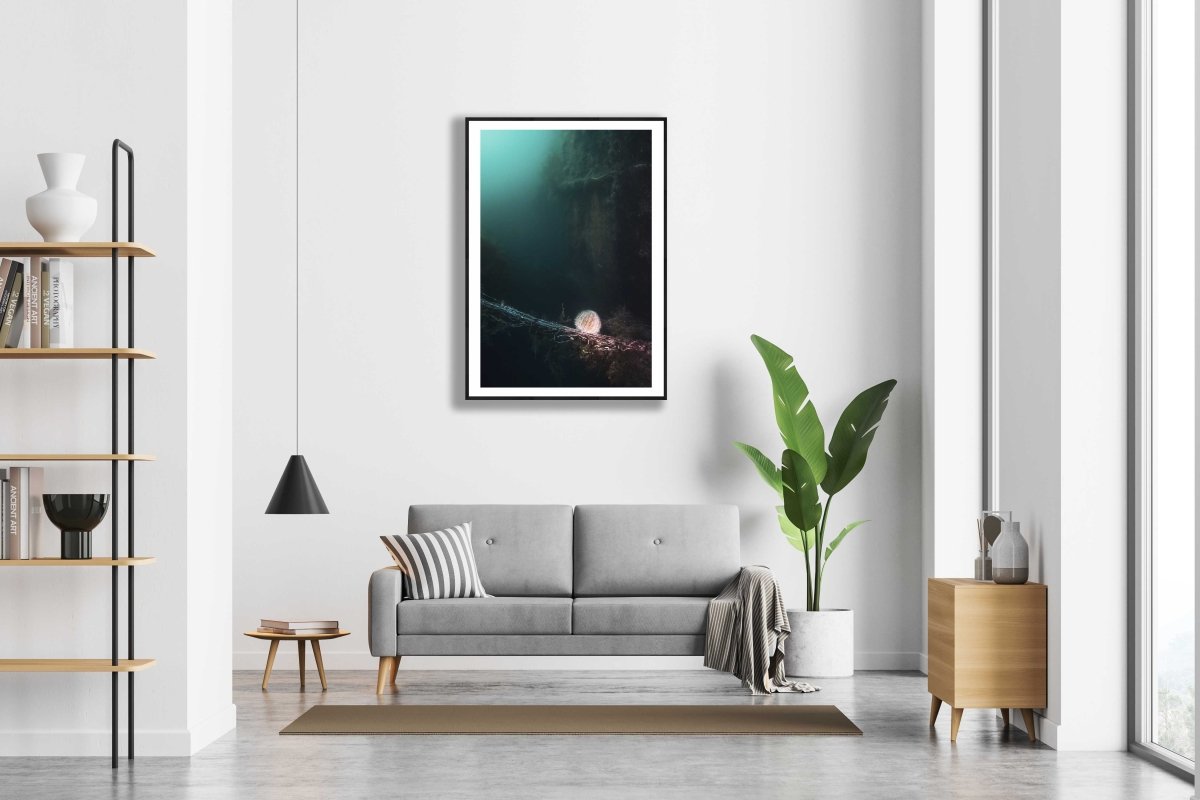 Framed sea urchin near wreck, eerie atmosphere, hangs on white wall above sofa.