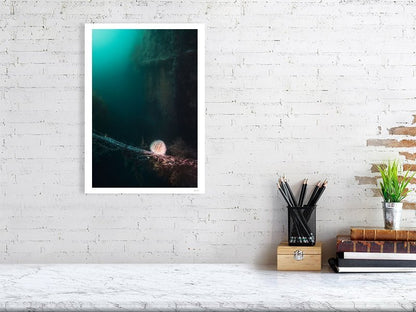 Photo print of sea urchin near wreck, eerie atmosphere, hangs on white wall.